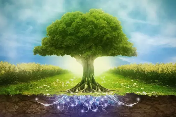 Планета Сатурн