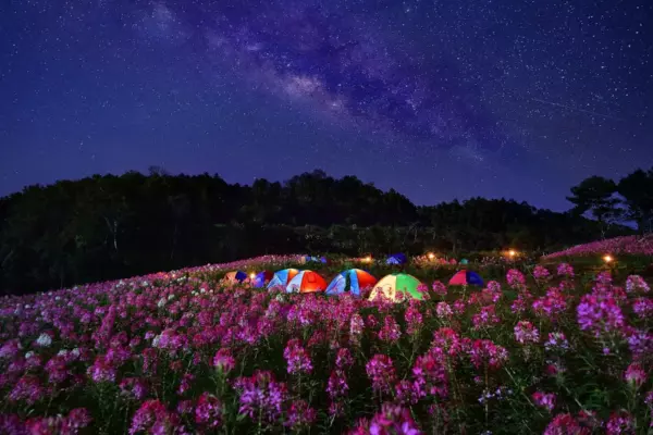 Астрологический прогноз 24 июля